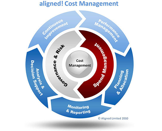 Cost  Management as a Strategy in Enterprise IT Solutions