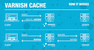 Research Paper: Optimizing Joomla Performance with Nginx, Varnish Cache, SSL, and the Problem Identification